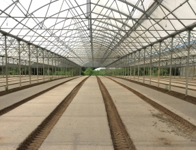 Vue d'une serre ensablée pour faire pousser des légumes